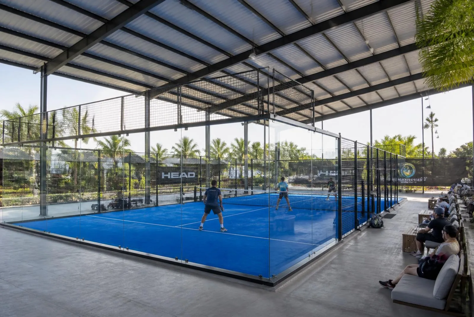 Best Padel Rackets in 2026 (Beginner to Pro)
